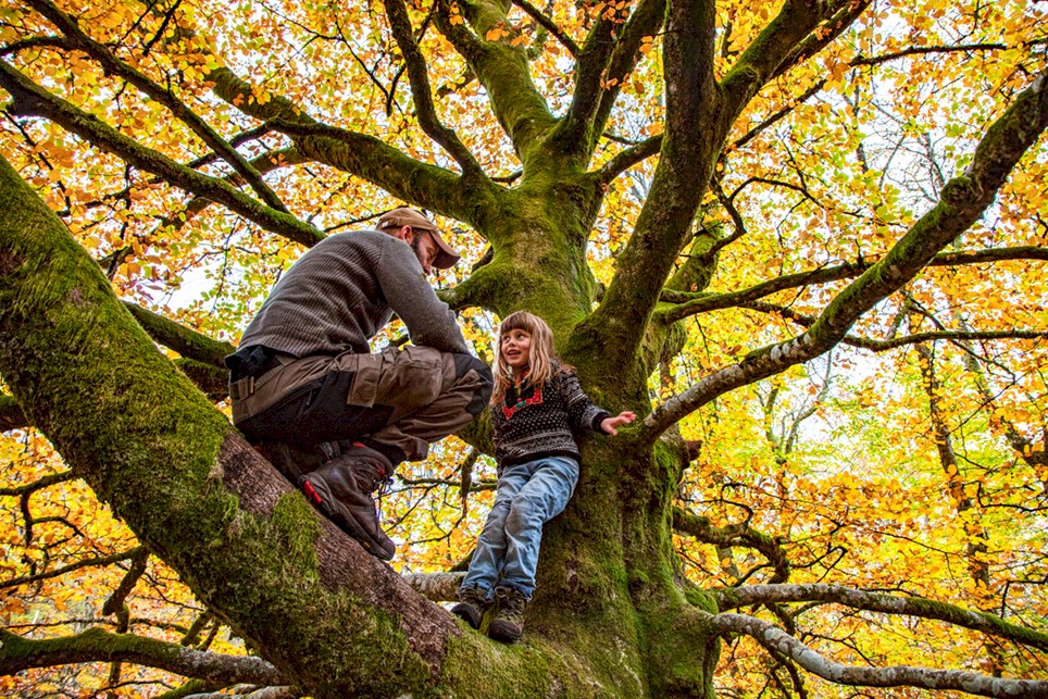 DNT_lek i tre(1).jpg