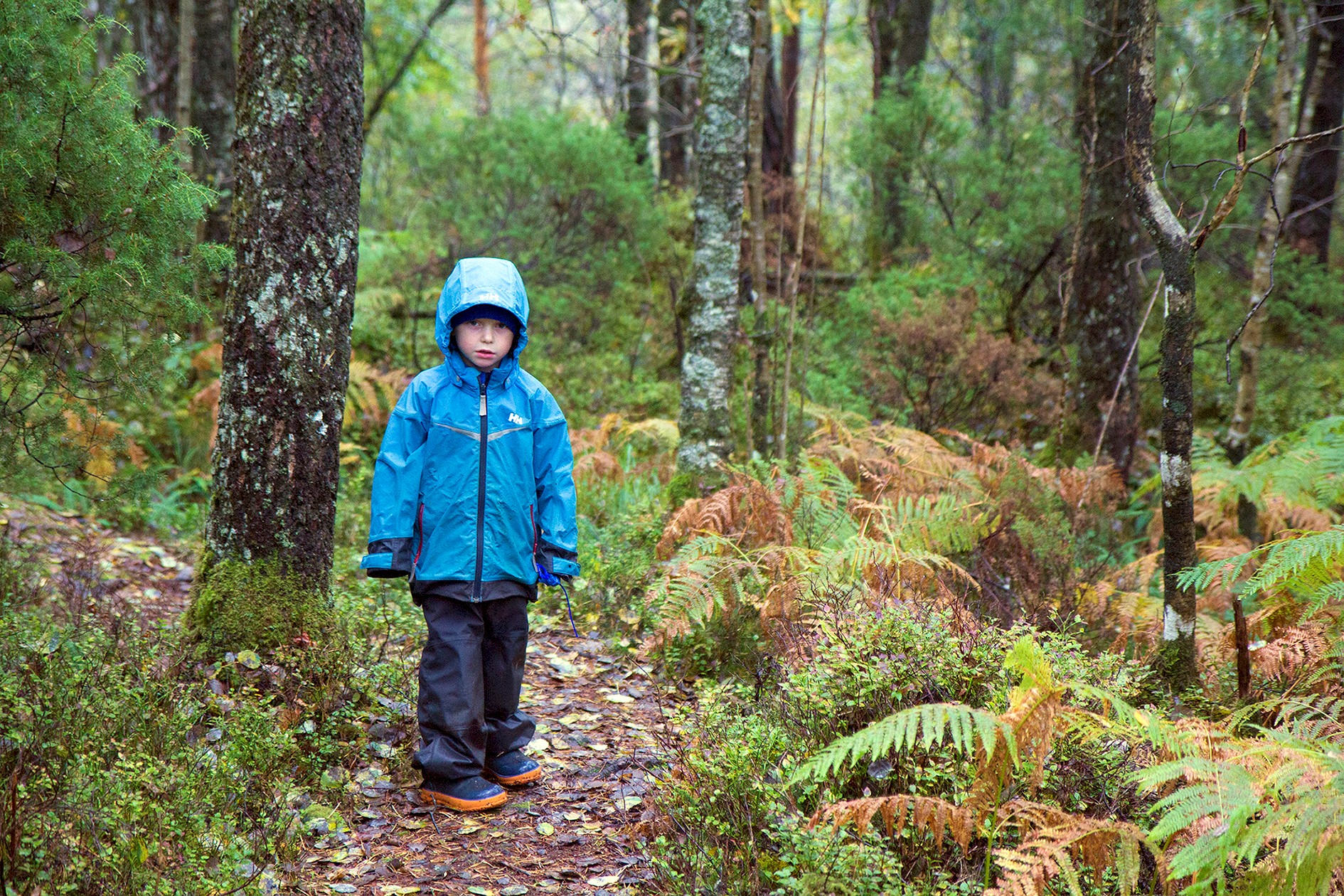 Turtips_63_Vil ikke.jpg