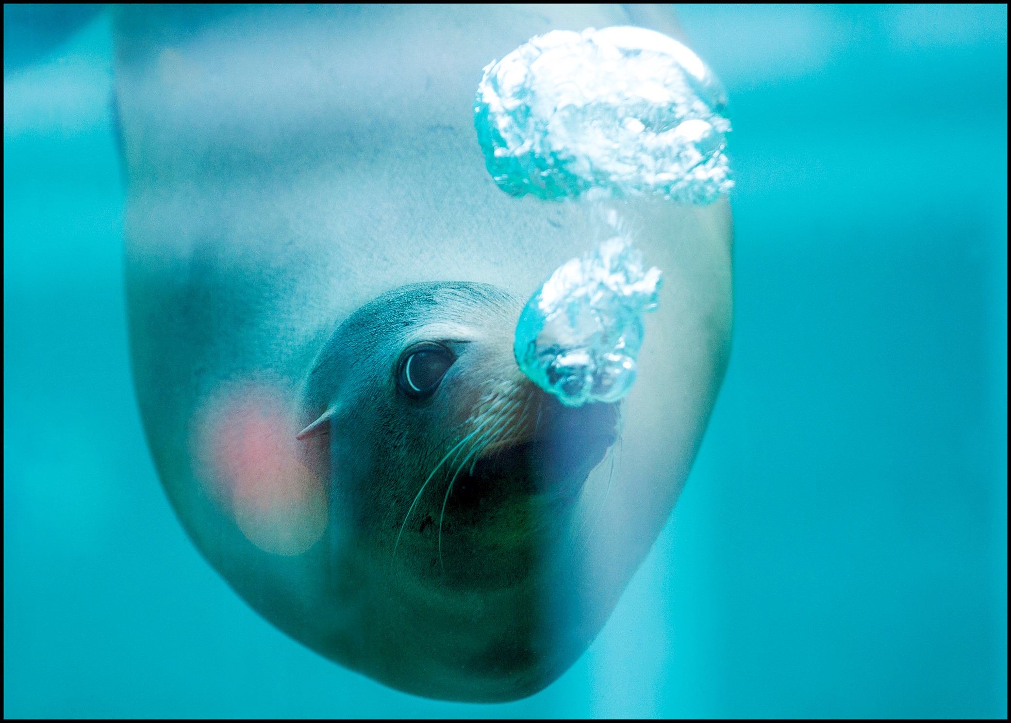 Akvariet_66_04 - 20X28.jpg