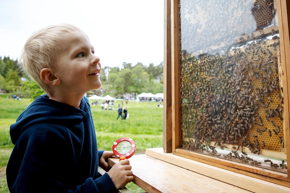 12 - Nikolai 4 år.jpg