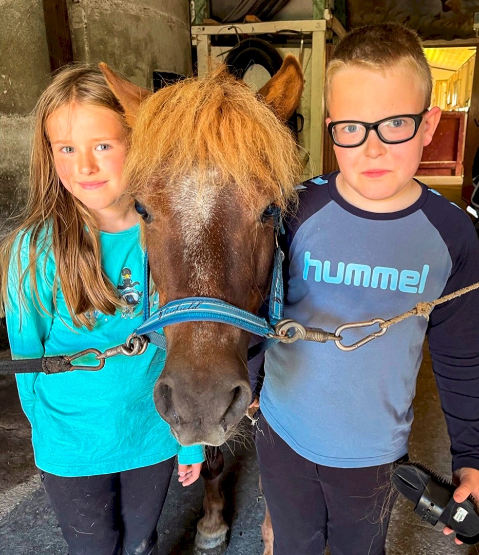 Min hobby hest_8754.jpg