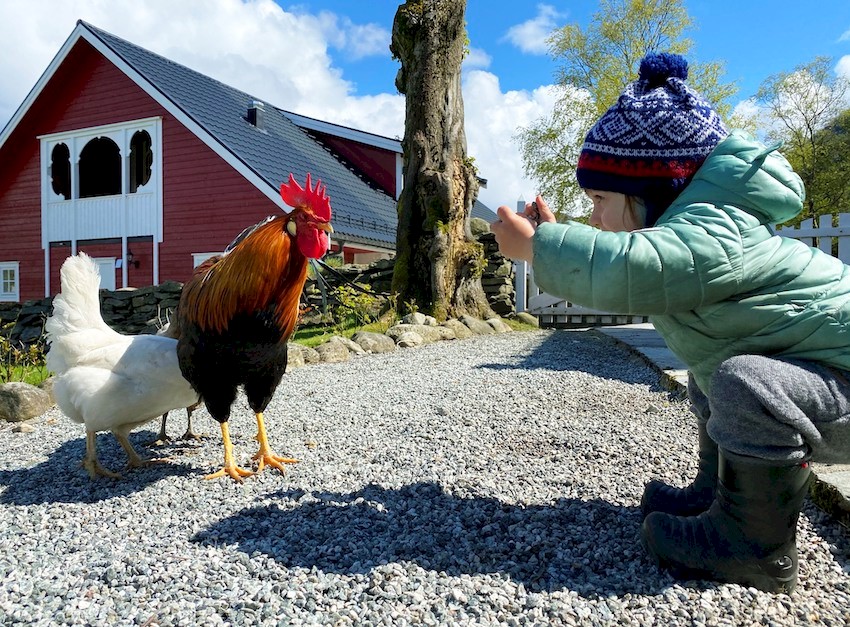 Gårdsbesøk Øvre Eide gård.jpg