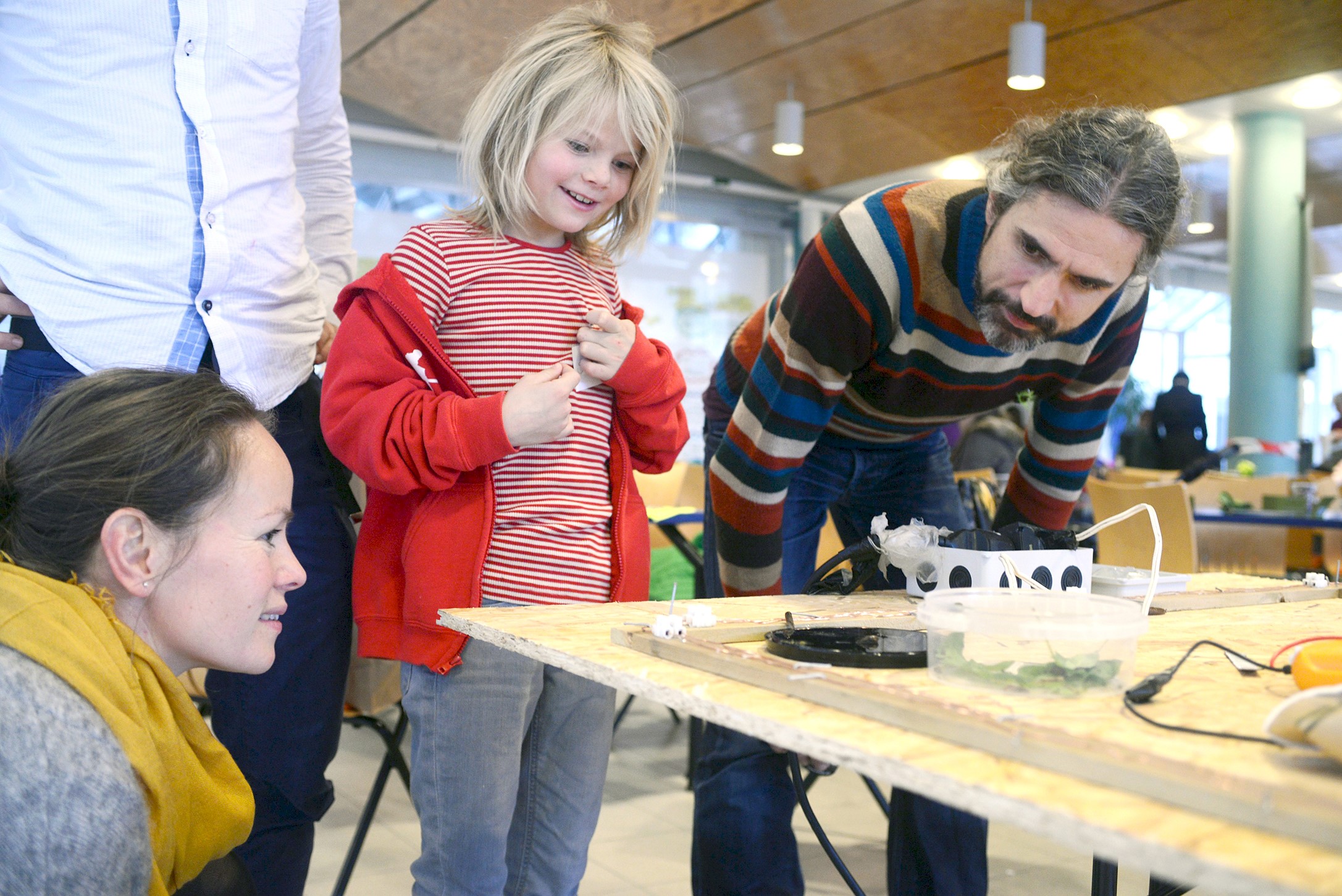 Grønne hjørnet_BiB 66_Laget på Landås - sneglefri hagekasse.jpg