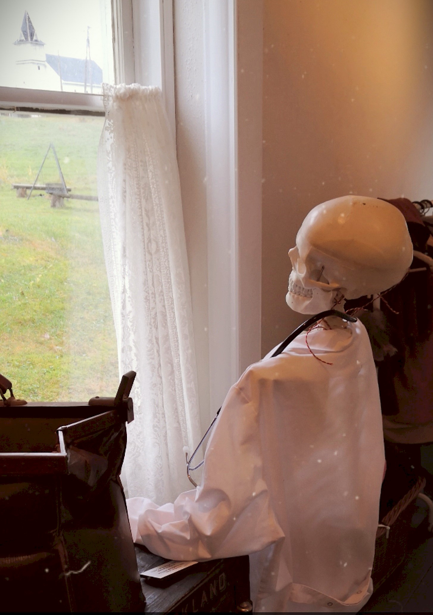 Halloween Skjeletter i vindauga.jpg