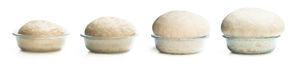 Deig som hever_AdobeStock_357905465.jpeg