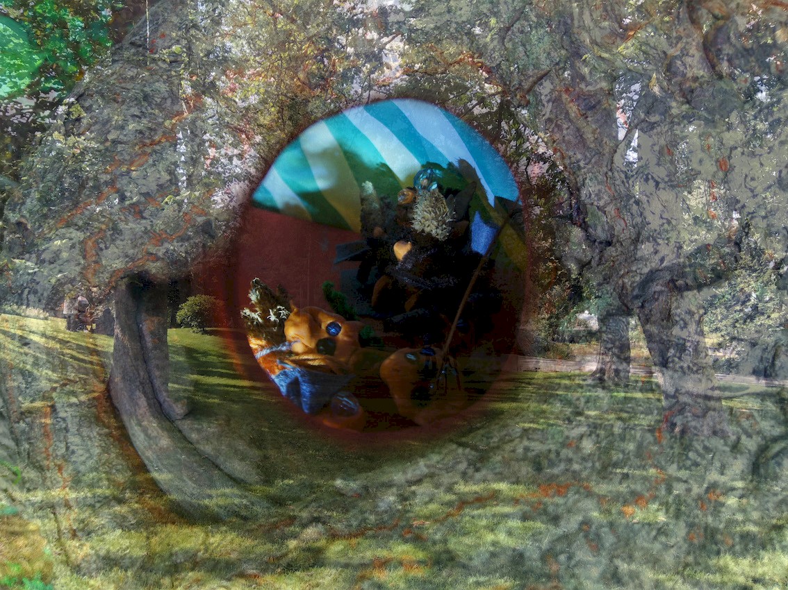 Foto- kunstpilotene:André S. Marandon.jpg