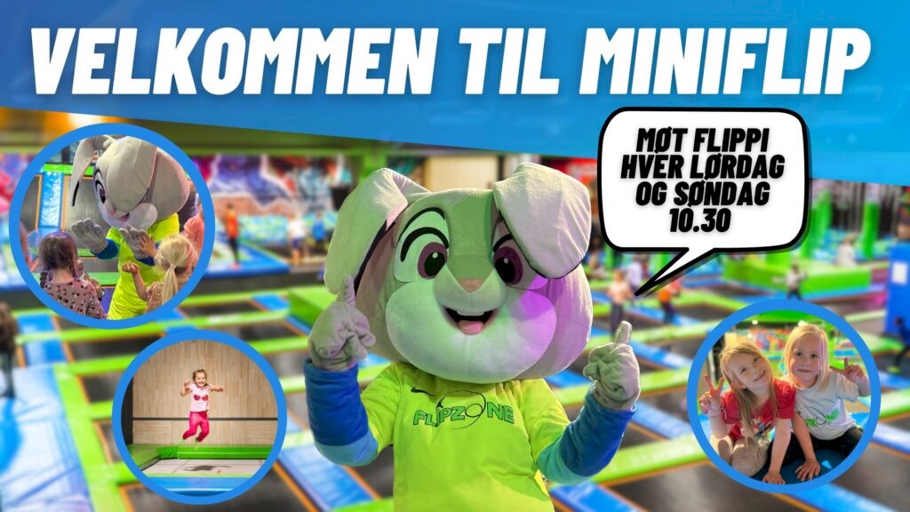 Foto FlipZone, MiniFlip.jpg