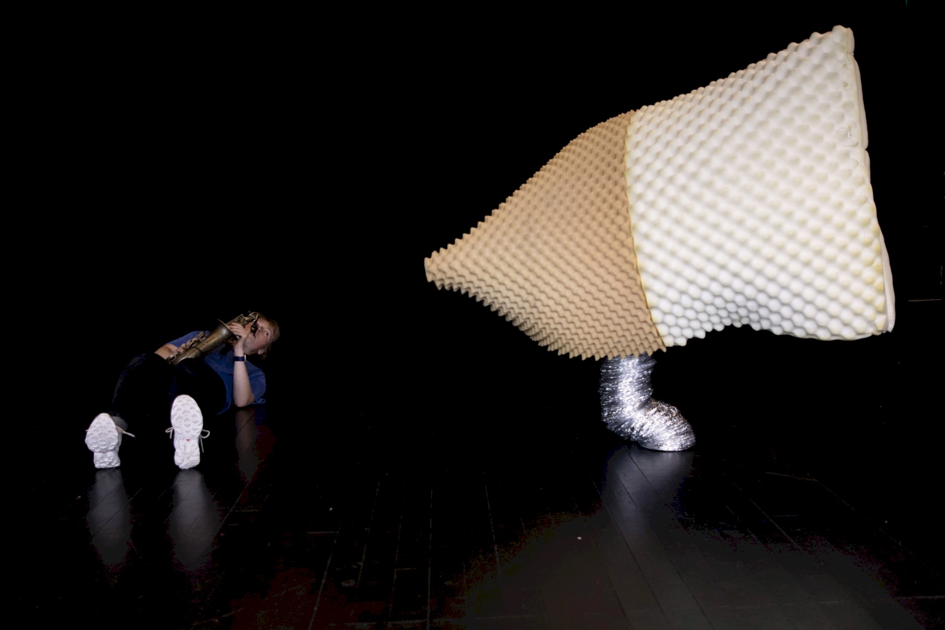 Vesenet. fib.no, Foto: Ben Speck.jpg