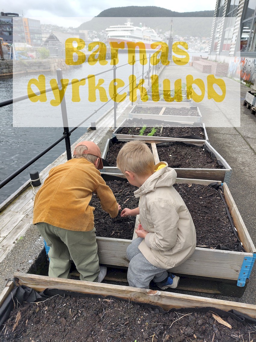 Barnas dyrkeklubb.jpg