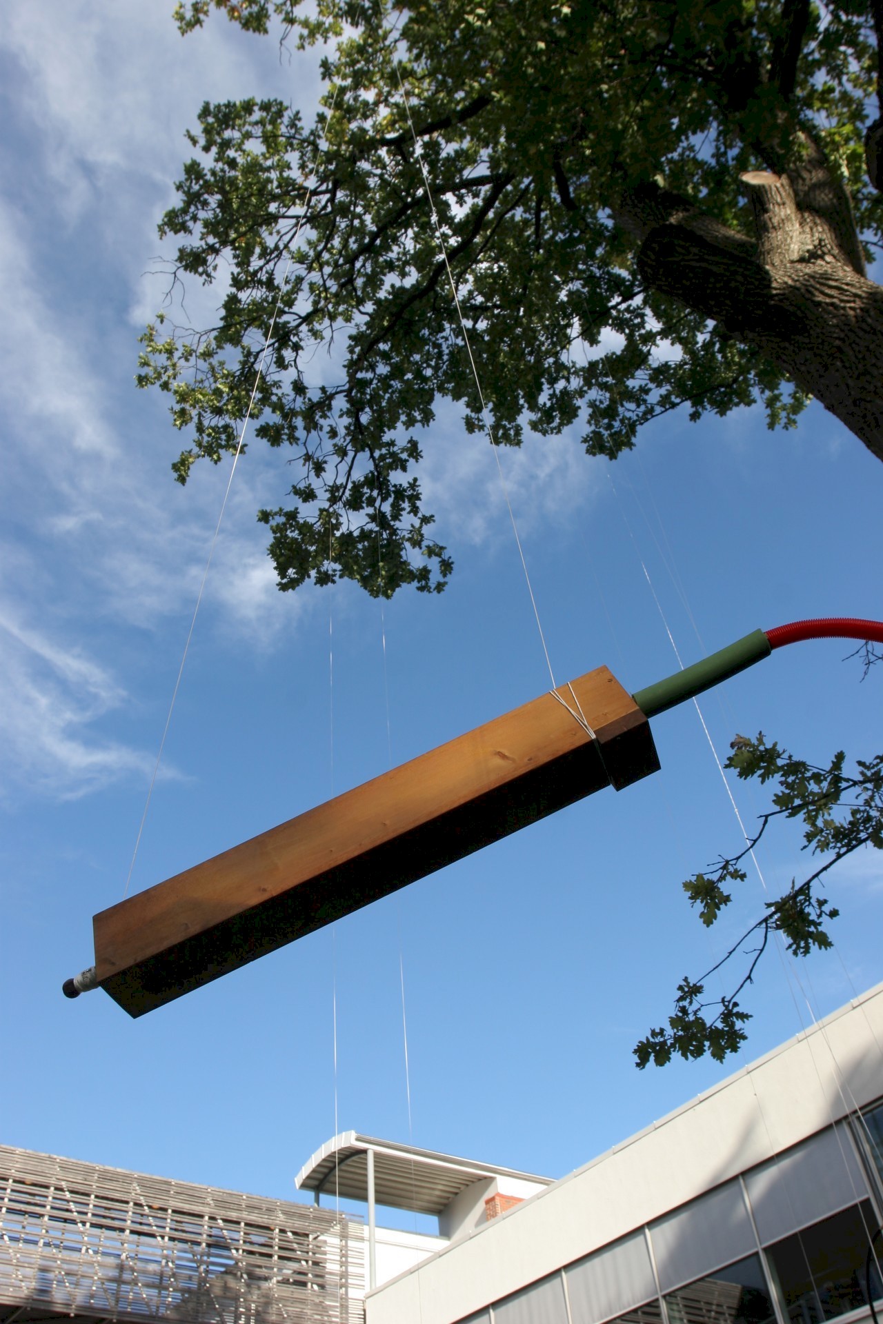 orgelpipe Foto Mathias Askvik.jpg