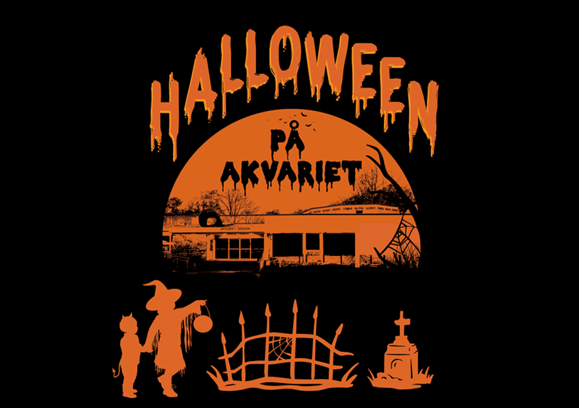 halloween-tegning.png