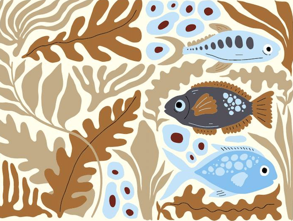 Barnas Sjømatdag Fisketorget 2025.png