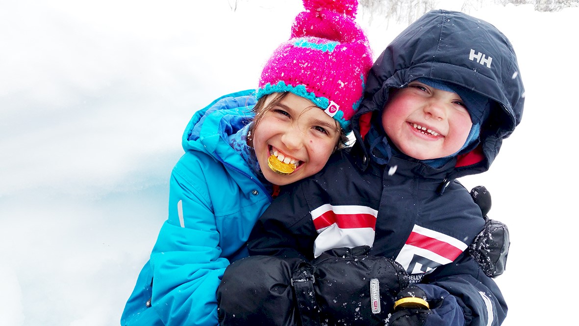 Camilla mobil 1873.jpg