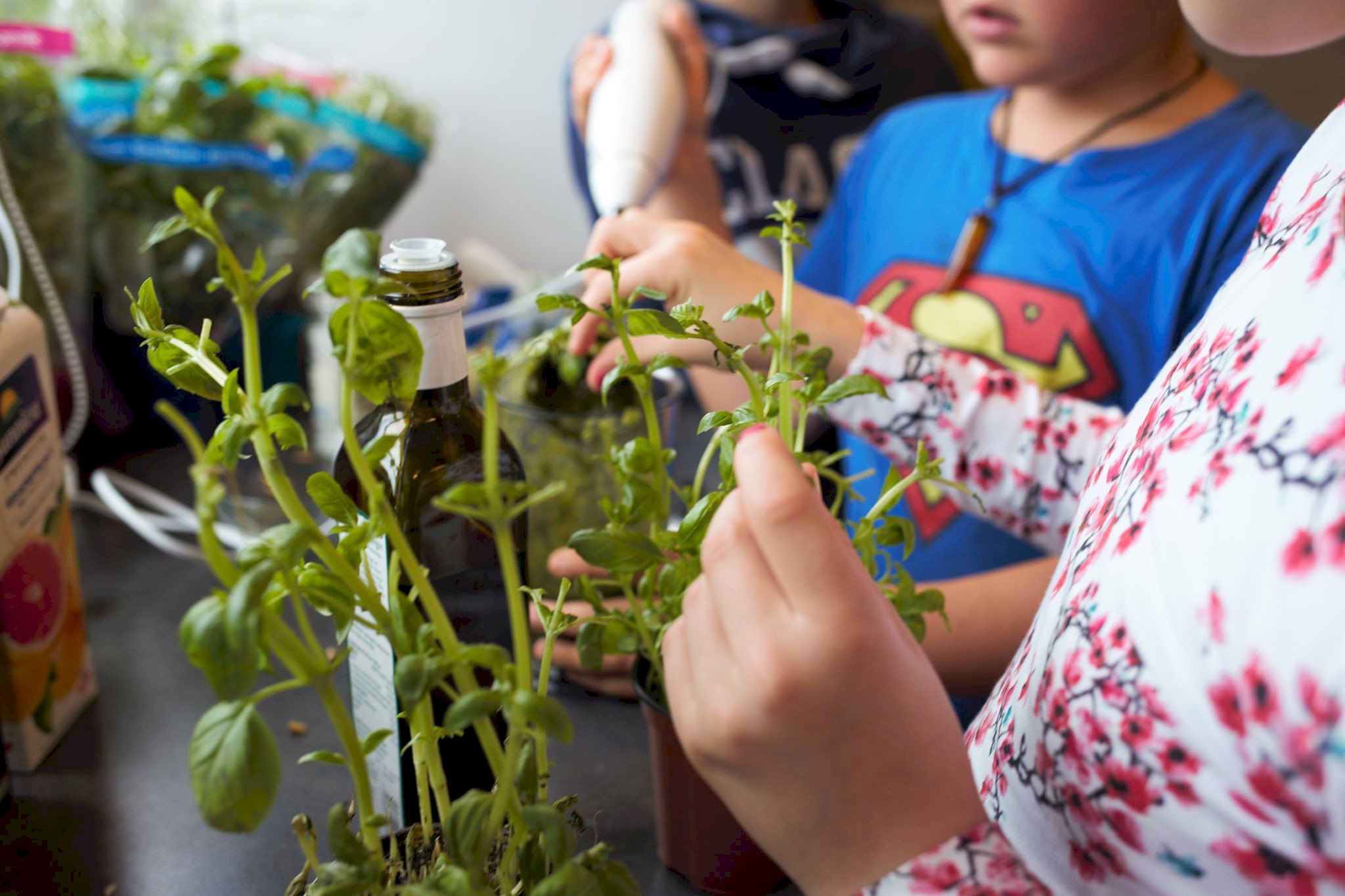 Bærekraftig familiedag- ta vare på maten.jpg